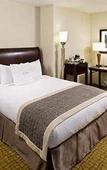 Туры в отель The Darcy Hotel Туры в отель The Darcy Hotel