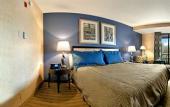 Туры в отель The Darcy Hotel Туры в отель The Darcy Hotel