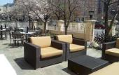 Туры в отель The Darcy Hotel Туры в отель The Darcy Hotel