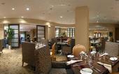 Туры в отель The Darcy Hotel Туры в отель The Darcy Hotel