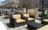 Туры в отель The Darcy Hotel Туры в отель The Darcy Hotel