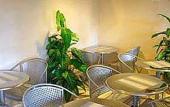 Туры в отель BridgePoint Inn Daly City Туры в отель BridgePoint Inn Daly City