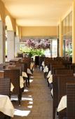 Туры в отель Melia Sunny Beach Туры в отель Melia Sunny Beach