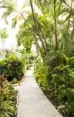 Туры в отель Bay View Suites Paradise Island Туры в отель Bay View Suites Paradise Island