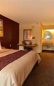 Туры в отель Red Roof Inn Tampa - Brandon Туры в отель Red Roof Inn Tampa - Brandon