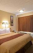 Туры в отель Red Roof Inn Tampa - Brandon Туры в отель Red Roof Inn Tampa - Brandon