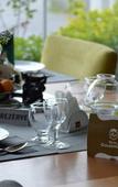 Туры в отель Hotel Goldengate Туры в отель Hotel Goldengate