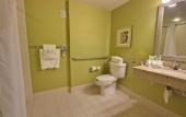 Туры в отель Holiday Inn Express Hotel & Suites New Tampa I-75 by IHG Туры в отель Holiday Inn Express Hotel & Suites New Tampa I-75 by IHG