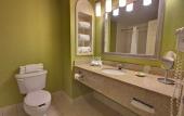 Туры в отель Holiday Inn Express Hotel & Suites New Tampa I-75 by IHG Туры в отель Holiday Inn Express Hotel & Suites New Tampa I-75 by IHG