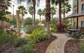 Туры в отель Holiday Inn Express Hotel & Suites New Tampa I-75 by IHG Туры в отель Holiday Inn Express Hotel & Suites New Tampa I-75 by IHG
