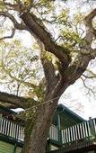 Туры в отель Florida House Inn Туры в отель Florida House Inn