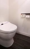 Туры в отель Hotel Vista Sapporo Odori Туры в отель Hotel Vista Sapporo Odori