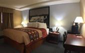 Туры в отель Fairbridge Inn Express Buffalo Airport Williamsville Туры в отель Fairbridge Inn Express Buffalo Airport Williamsville