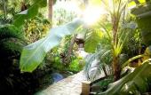 Туры в отель Hotel Pasatiempo Туры в отель Hotel Pasatiempo