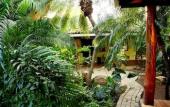 Туры в отель Hotel Pasatiempo Туры в отель Hotel Pasatiempo