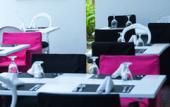Туры в отель Le Cameleon Puerto Viejo Туры в отель Le Cameleon Puerto Viejo