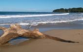 Туры в отель Le Cameleon Puerto Viejo Туры в отель Le Cameleon Puerto Viejo