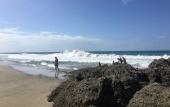 Туры в отель Le Cameleon Puerto Viejo Туры в отель Le Cameleon Puerto Viejo