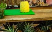 Туры в отель Le Cameleon Puerto Viejo Туры в отель Le Cameleon Puerto Viejo