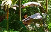 Туры в отель Le Cameleon Puerto Viejo Туры в отель Le Cameleon Puerto Viejo