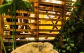 Туры в отель Le Cameleon Puerto Viejo Туры в отель Le Cameleon Puerto Viejo