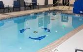 Туры в отель Holiday Inn Express & Suites Oklahoma City Southeast I-35 by IHG Туры в отель Holiday Inn Express & Suites Oklahoma City Southeast I-35 by IHG