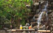 Туры в отель Jardin del Eden Boutique Hotel - Adults Only Туры в отель Jardin del Eden Boutique Hotel - Adults Only