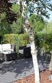 Туры в отель Best Western The Hotel Versailles Туры в отель Best Western The Hotel Versailles