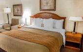 Туры в отель Spark by Hilton Toronto Markham Туры в отель Spark by Hilton Toronto Markham
