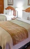 Туры в отель Spark by Hilton Toronto Markham Туры в отель Spark by Hilton Toronto Markham