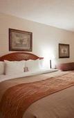 Туры в отель Spark by Hilton Toronto Markham Туры в отель Spark by Hilton Toronto Markham