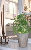 Туры в отель Rosersbergs Slottshotell Туры в отель Rosersbergs Slottshotell