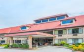 Туры в отель The Pell - Part of JdV by Hyatt Туры в отель The Pell - Part of JdV by Hyatt