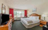 Туры в отель The Pell - Part of JdV by Hyatt Туры в отель The Pell - Part of JdV by Hyatt