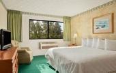 Туры в отель The Pell - Part of JdV by Hyatt Туры в отель The Pell - Part of JdV by Hyatt