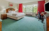 Туры в отель The Pell - Part of JdV by Hyatt Туры в отель The Pell - Part of JdV by Hyatt