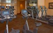 Туры в отель Hyatt Regency Greenwich Туры в отель Hyatt Regency Greenwich
