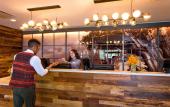 Туры в отель Holiday Inn Estes Park by IHG Туры в отель Holiday Inn Estes Park by IHG