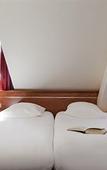 Туры в отель ibis Styles Colmar Centre Туры в отель ibis Styles Colmar Centre