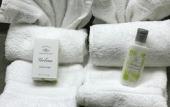 Туры в отель The Craftsman Inn & Suites Туры в отель The Craftsman Inn & Suites
