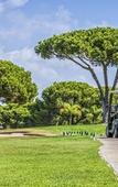 Туры в отель Vilar do Golf by Diamond Resorts Туры в отель Vilar do Golf by Diamond Resorts