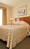 Туры в отель Element by Marriott Chelmsford Туры в отель Element by Marriott Chelmsford