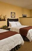Туры в отель Six Flags Great Escape Lodge & Indoor Waterpark Туры в отель Six Flags Great Escape Lodge & Indoor Waterpark