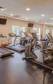 Туры в отель Holiday Inn Monterrey Valle by IHG Туры в отель Holiday Inn Monterrey Valle by IHG