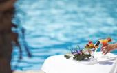 Туры в отель Novotel Montpellier Туры в отель Novotel Montpellier