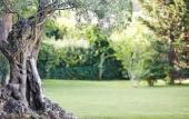 Туры в отель Novotel Montpellier Туры в отель Novotel Montpellier