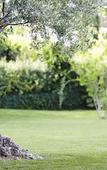 Туры в отель Novotel Montpellier Туры в отель Novotel Montpellier