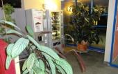 Туры в отель Hotel Kyriad Toulouse Sud - Roques Туры в отель Hotel Kyriad Toulouse Sud - Roques