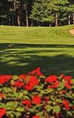 Туры в отель Gideon Putnam Resort And Spa Туры в отель Gideon Putnam Resort And Spa