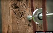 Туры в отель Casa sull'Albero Туры в отель Casa sull'Albero